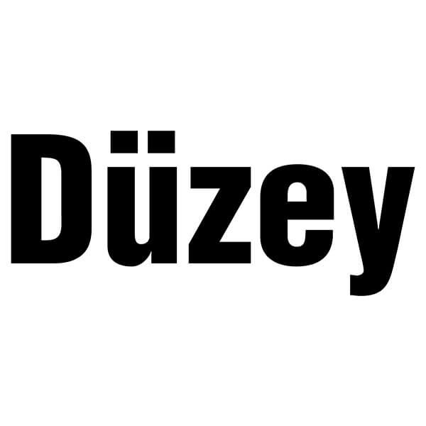 Düzey