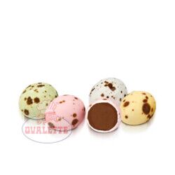 Ovalette Renkli Bıldırcın Yumurtası 1 Kg - Katsan